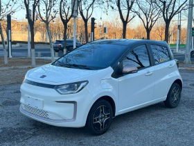 思皓 花仙子 2021款 302km 时尚型 31.4kWh