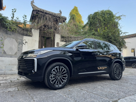 星途凌云 2025款 300T 两驱星耀版