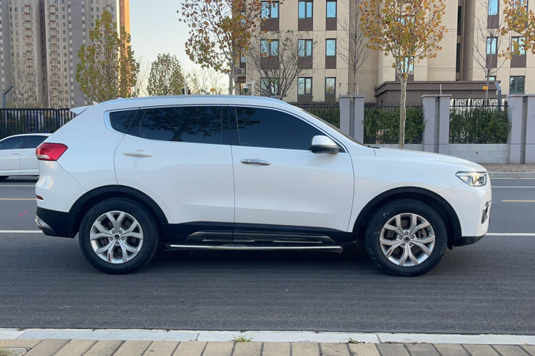 哈弗H6 2019款 红标 2.0GDIT 自动冠军版车身外观6003