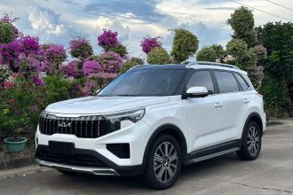 起亚 智跑 2021款 Ace 2.0L 精彩版