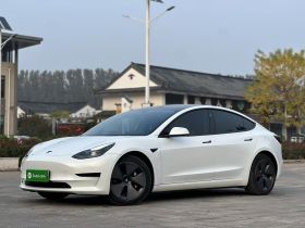特斯拉 Model 3 2022款 后轮驱动版