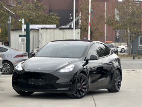 特斯拉 Model Y 2021款 Performance高性能全轮驱动版