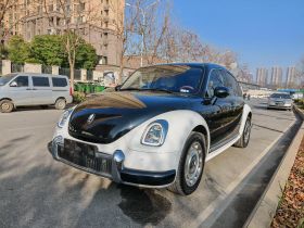 欧拉芭蕾猫 2023款 401km 尊贵型