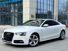 奥迪A5 2016款 改款 Coupe 45 TFSI 舒适型