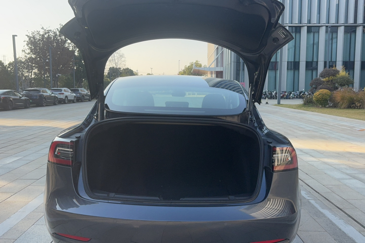 特斯拉 Model 3 2021款 标准续航后驱升级版局部细节23