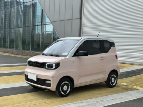 五菱汽车 宏光MINIEV 2022款 马卡龙臻享款 磷酸铁锂