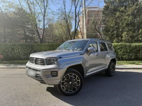 坦克700新能源 2024款 Hi4-T 极境版