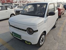 吉利银河 熊猫 2025款 210km 元气熊