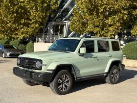 坦克300 2024款 2.0T 穿越者