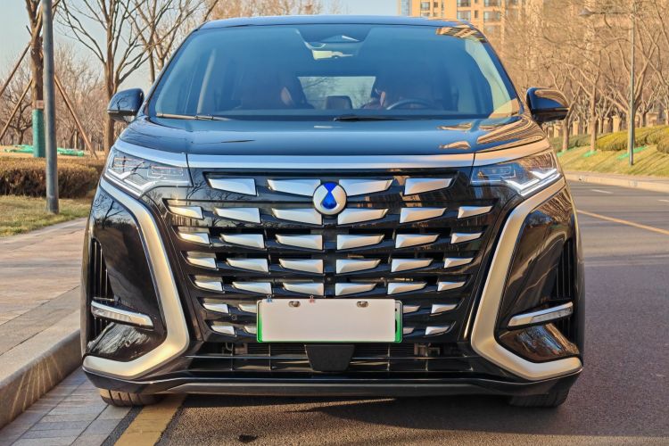 腾势D9 2024款 DM-i 980 四驱尊贵型车身外观6001