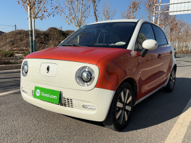 欧拉黑猫 2019款 351km 女神版