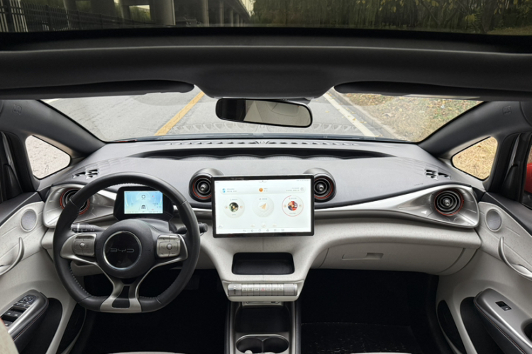 比亚迪 海豚 2021款 401km 骑士版局部细节18