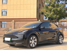 特斯拉 Model Y 2022款 后轮驱动版