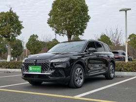 林肯 冒险家 2024款 2.0T 两驱尊享版