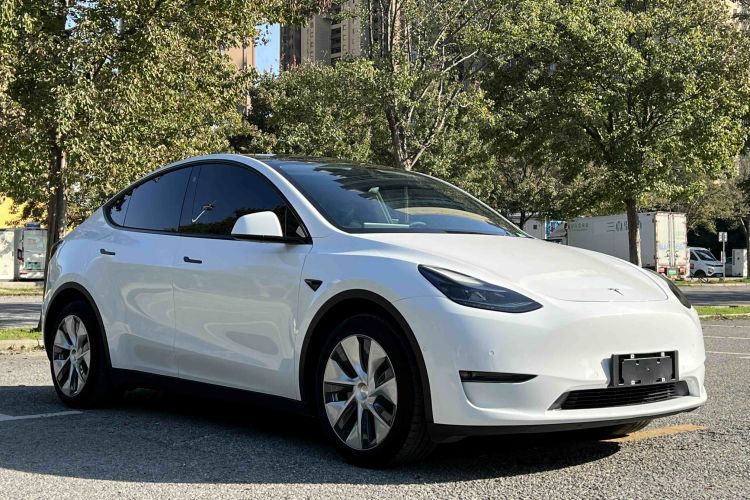 特斯拉 Model Y 2021款 长续航全轮驱动版 3D7车身外观6003