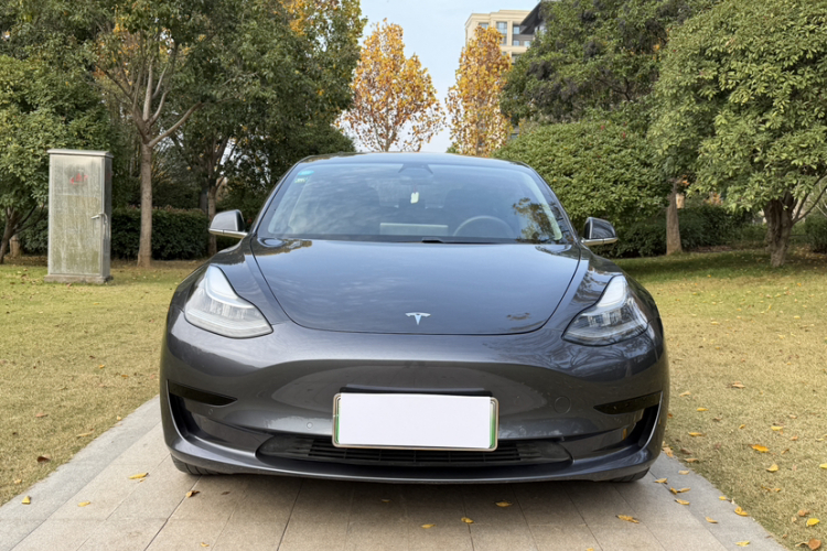 特斯拉 Model 3(进口) 2019款 标准续航后驱升级版(52度)车身外观6010