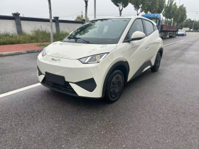 比亚迪 海鸥 2025款 智驾版 305km 活力版