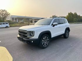 哈弗大狗 2024款 1.5T DCT边牧版