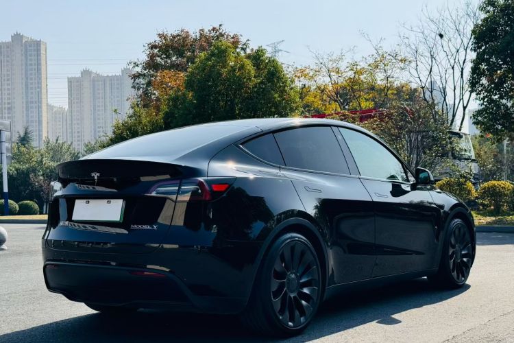 特斯拉 Model Y 2021款 Performance高性能全轮驱动版车身外观6005