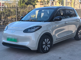 五菱汽车 五菱缤果 2023款 333km 悦享款