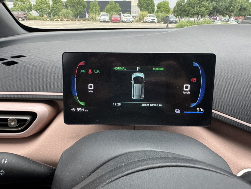 比亚迪 海鸥 2023款 飞翔版