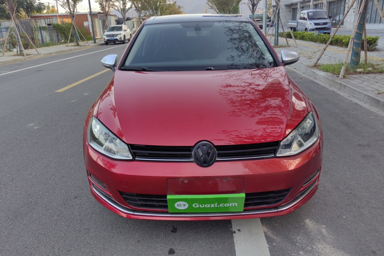 大众 高尔夫 2016款 230TSI 自动豪华型车身外观6009