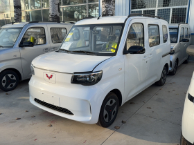 五菱汽车 五菱之光新能源 2025款 305km 进取型