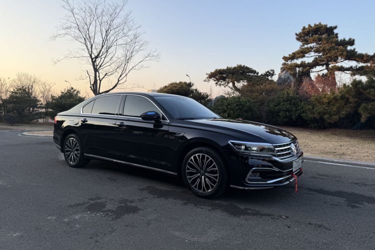 大众 辉昂 2021款 380TSI 豪华版车身外观6002