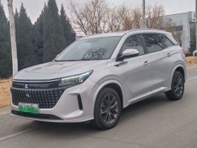 蓝电E5 2023款 1.5L DE-i 100KM畅享型 5座