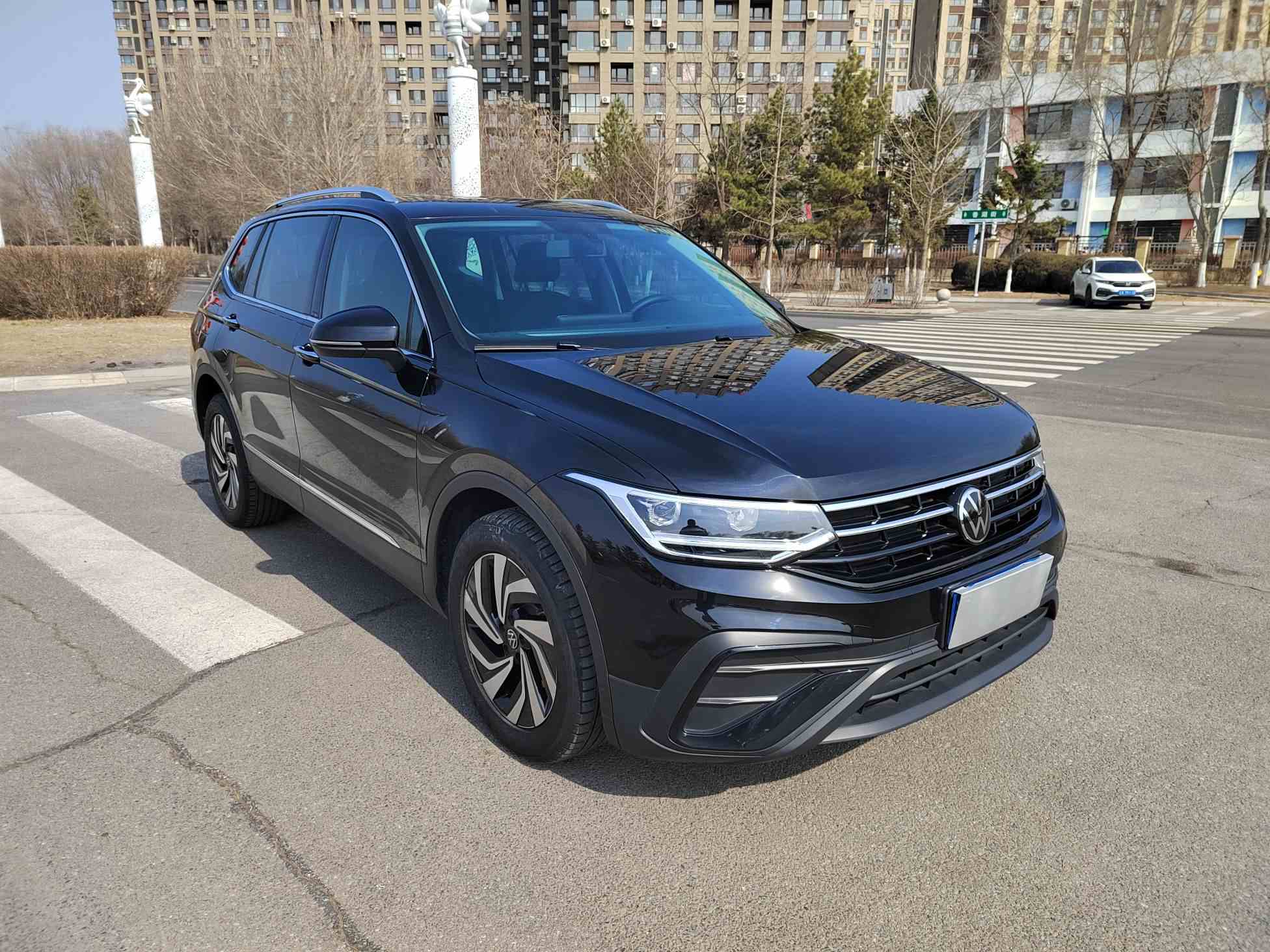 大众 途观L 2024款 300TSI 自动两驱智享版(3)