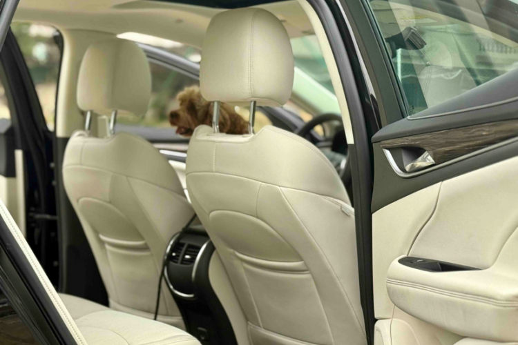 别克 君越 2019款 28T 精英型中控内饰7006