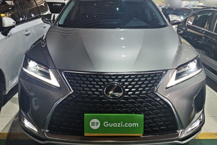 雷克萨斯RX 2020款 改款 300 两驱舒适版车身外观6001