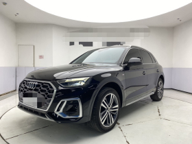 奥迪Q5L 2025款 45周年典藏版 40 TFSI 时尚动感型