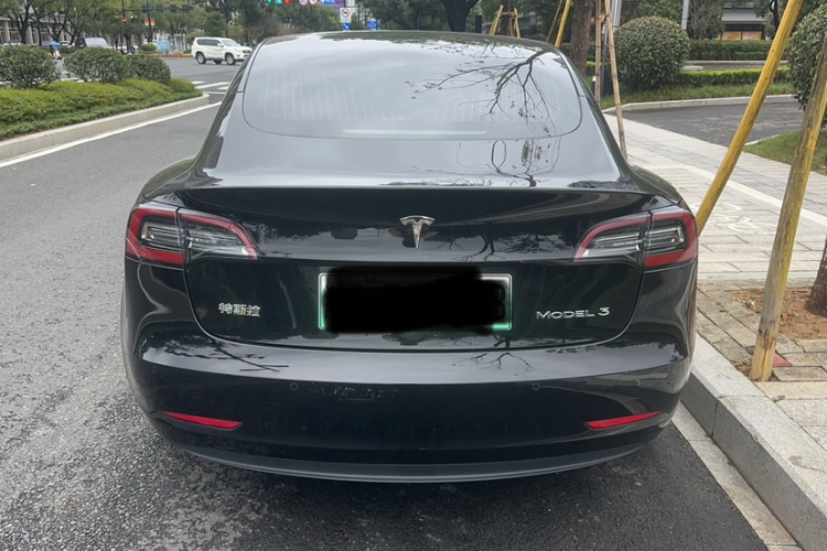 特斯拉 Model 3 2020款 改款 标准续航后驱升级版车身外观6004