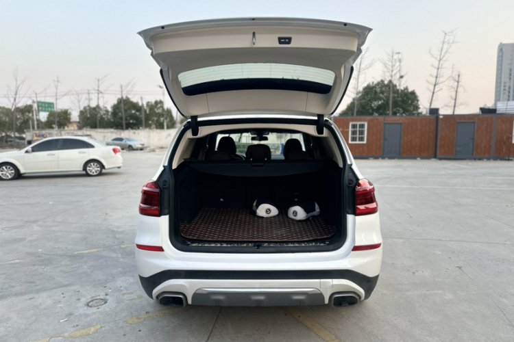 宝马X3 2018款 xDrive25i 豪华套装 国V局部细节23