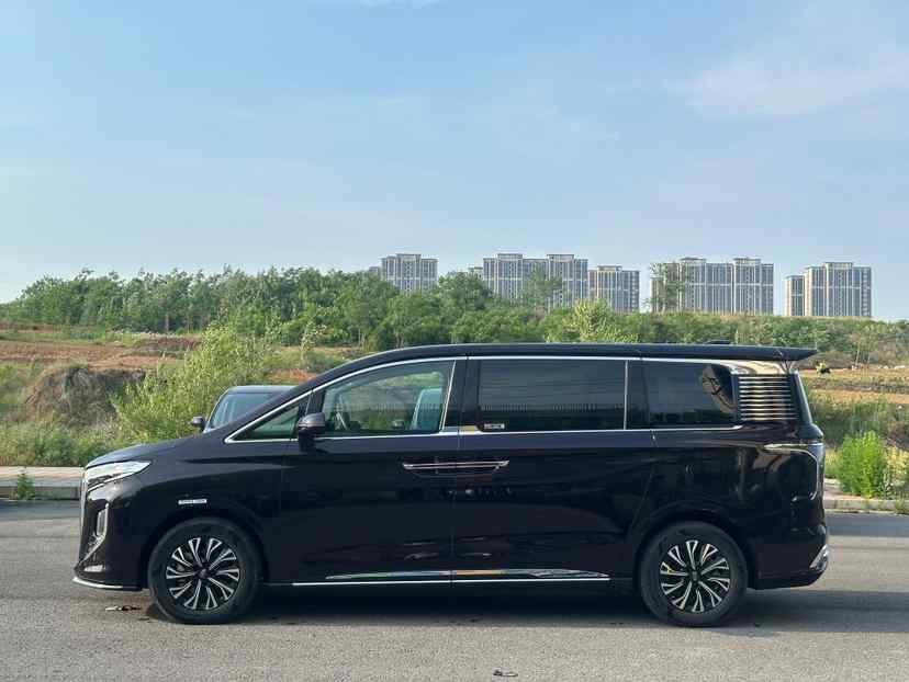 红旗HQ9 PHEV 2024款 2.0T 四驱商务版(5)