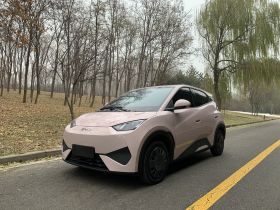 比亚迪 海鸥 2025款 智驾版 305km 活力版