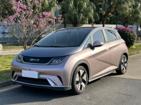 比亚迪 海豚 2021款 401km 骑士版