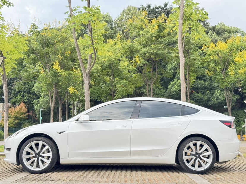 特斯拉 Model 3 2019款 标准续航后驱升级版