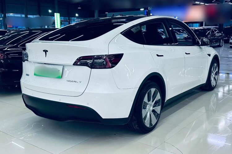 特斯拉 Model Y 2021款 标准续航后驱版车身外观6004
