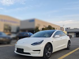 特斯拉 Model 3 2020款 标准续航后驱升级版