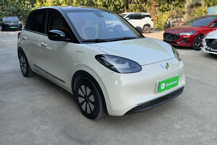 五菱汽车 五菱缤果 2023款 333km 灵犀互联+款车身外观6002