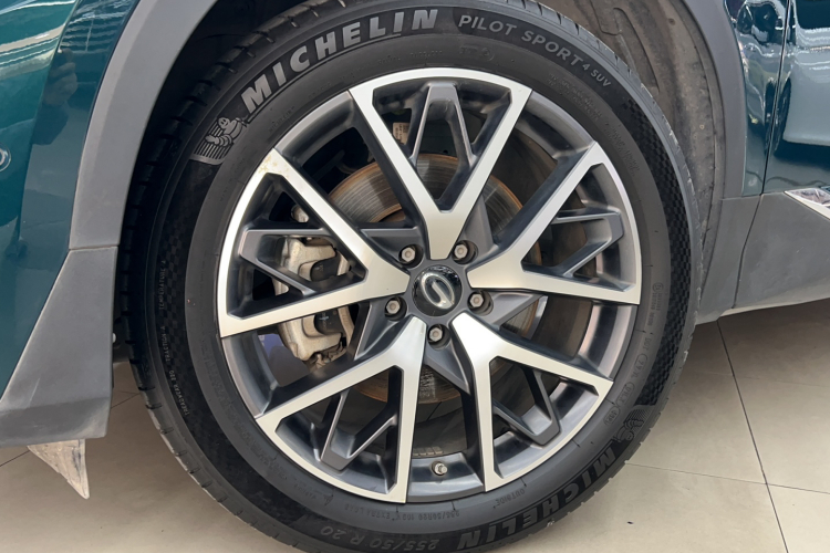 广汽传祺 传祺GS8 2022款 领航系列 2.0TGDI 两驱尊贵版（七座）车身外观6004