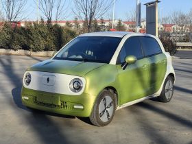 欧拉黑猫 2019款 301km 标准版