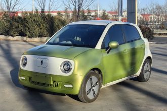 欧拉黑猫 2019款 301km 标准版