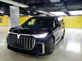 岚图汽车 岚图梦想家 2024款 PHEV 超长续航旗舰版