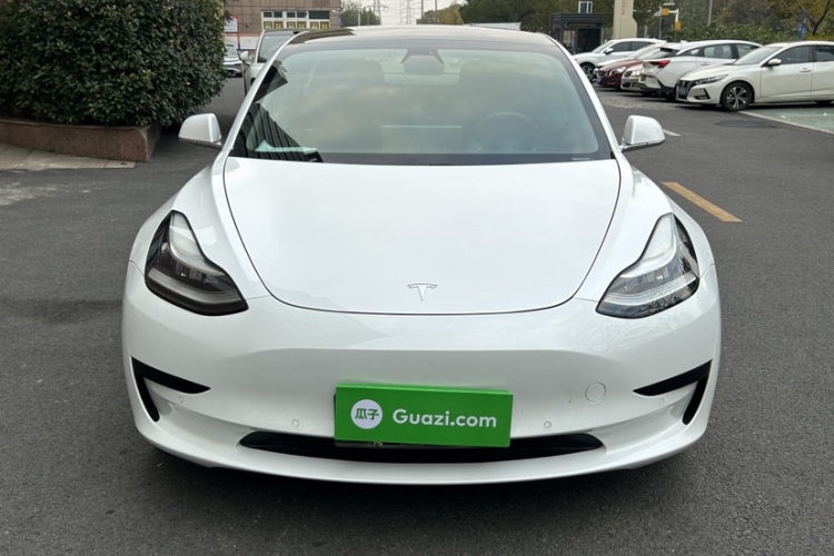 特斯拉 Model 3(进口) 2019款 标准续航后驱升级版(60度)车身外观6007