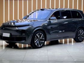 理想汽车 理想L9 2022款 Max