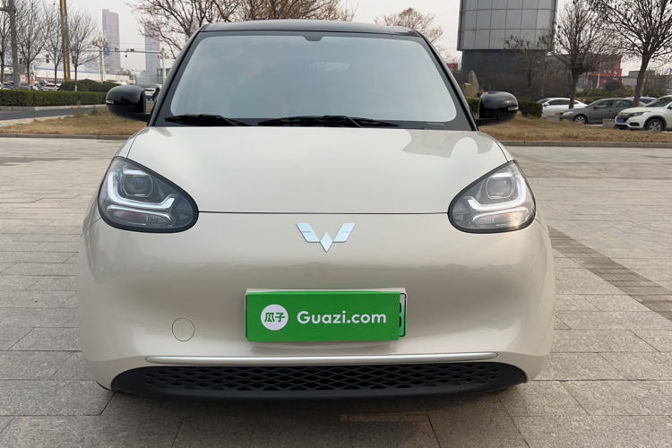 五菱汽车 五菱缤果 2024款 203km 轻享款车身外观6003