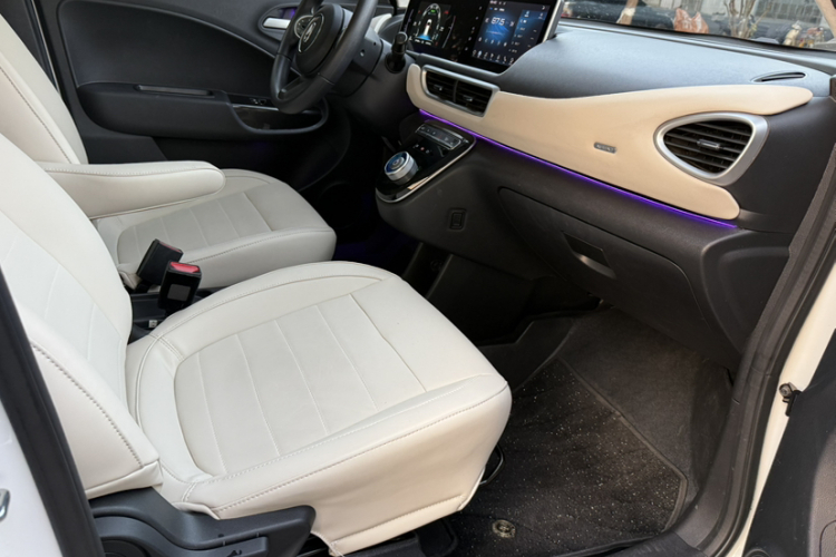 欧拉白猫 2022款 升级版 305km 豪华型 三元锂中控内饰7002